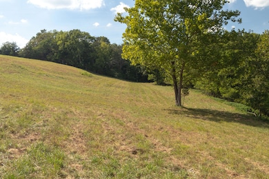 000 Downwind, Omaha, AR 72662 - photo 7