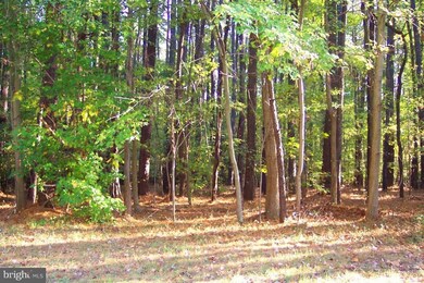 0 Guinevere Ln unit 1002758241, Pomfret, MD 20675 - photo 3