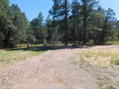 circular drive.