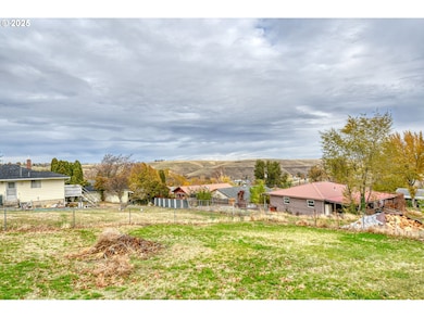 703 SE Isaac Ave, Pendleton, OR 97801 - photo 7