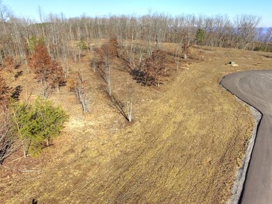 0 Eagle Eye Dr unit 1331986, Jasper, TN 37347 - photo 4