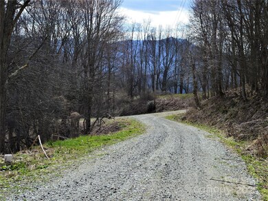 00 Hurricane Ridge Trace unit 53, Clyde, NC 28721 - photo 6