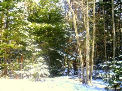 Land/Lot.