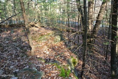 139 Mountain Top Dr, Dingmans Ferry, PA 18328 - photo 4