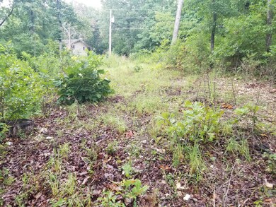 Lot 6 Montego Dr, Ruth B Rural Township, MO 65686 - photo 5