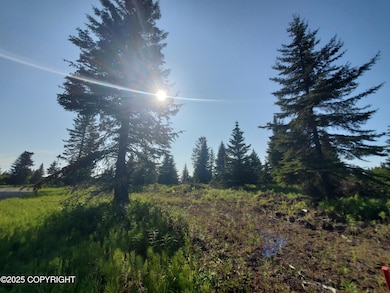 17573 Chefornak St, Happy Valley, AK 99639 - photo 2