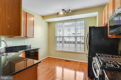 20411 Cool Fern Square, Ashburn, VA 20147 - photo 7