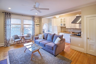 336 Tappan St unit 2, Brookline, MA 02445 - photo 4