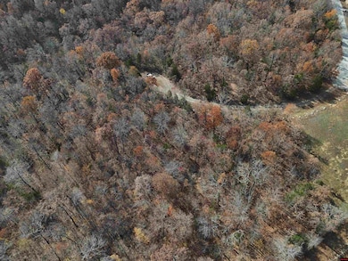 002-11055-000 Buckhead Ln, Mountain Home, AR 72653 - photo 4