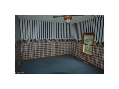 438 Vine St, Geneva, OH 44041 - photo 3