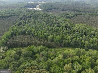 0 Watkins Trail unit TRACT 22, Nicholson, GA 30565 - photo 6