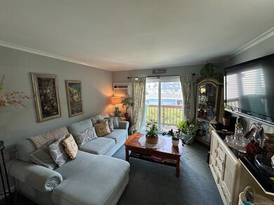 Because every Netflix binge deserves a comfy couch and a sunny view.
