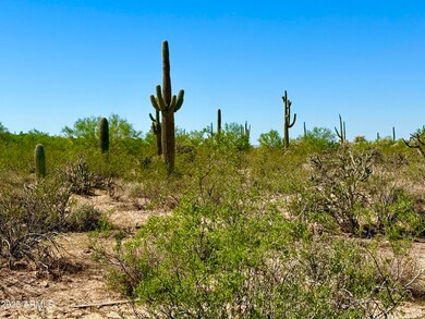 0 E Florence-Kelvin Hwy #2 10 Acre --, Florence, AZ 85132 - photo 7