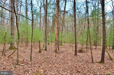 0 Dellinger Acres Rd, Edinburg, VA 22824 - photo 7