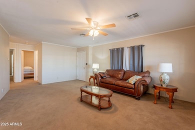 5-web-or-mls-McKellips-9