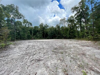 0 280th St unit GC508008, Branford, FL 32008 - photo 3