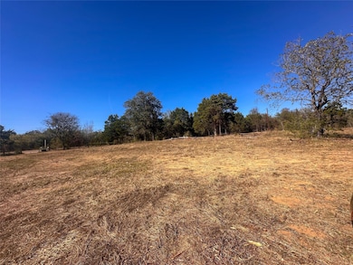 Lot 9E Foothill Rd, Camp Swift, TX 78602 - photo 5