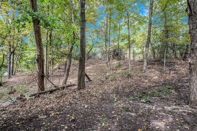 VL # 1 S Dune Rd, Chikaming Township, MI 49115 - photo 6