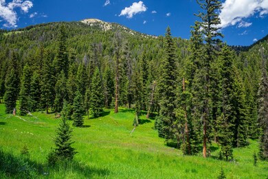 Tract 1A-1 Chief Joseph Trail, Big Sky, MT 59716 - photo 7