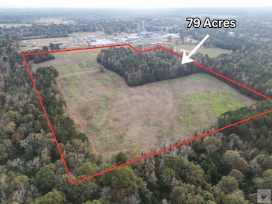 TBD E Redcut Rd, Fouke, AR 71837 - photo 3