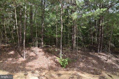 20975 Greenwell Way, Leonardtown, MD 20650 - photo 6