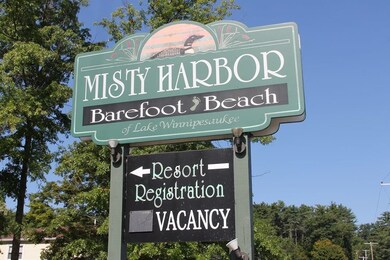 Welcome to Misty Harbor!
