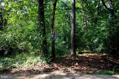 0 3 Lots Lee Cir St, Kinsale, VA 22488 - photo 6