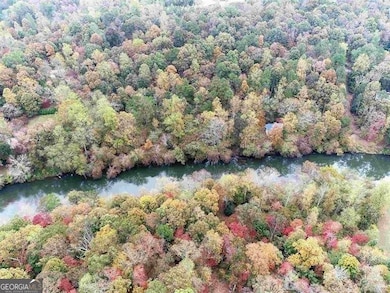 0 Webster Lake Rd unit 10656896, Cleveland, GA 30528 - photo 5