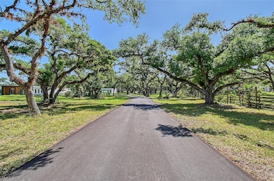 Tree lined driveway