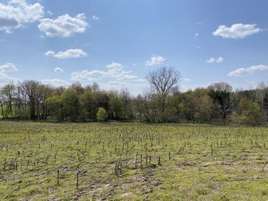IMG_5047