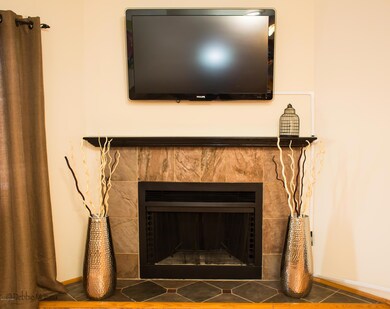 Wood-burning Fireplace