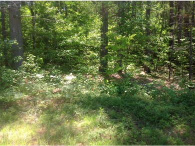 0 Ossipee Lake Rd unit 4432962, Tamworth, NH 03886 - photo 2