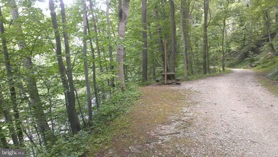 918 N Calvert St unit B, Baltimore, MD 21202 - photo 2