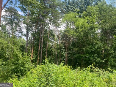 0 College View Dr SW unit 10655483, Rome, GA 30161 - photo 4