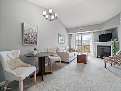 Chandlers Lane Condominiums unit 342, Olmsted Falls, OH 44138 - photo 3