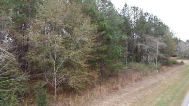 0 Georgia 202, Moultrie, GA 31768 - photo 7