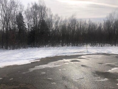 4568 Lake Pines Ln, Berrien Springs, MI 49103 - photo 2