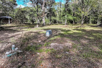 106 Roy Webb Rd, Huntsville, TX 77320 - photo 3