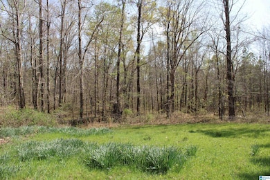 0 Danny Holmans Rd unit 21419252, Rockford, AL 35136 - photo 7