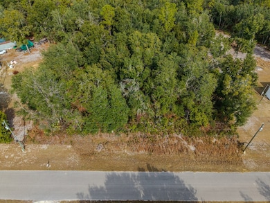 0 SE 477th Ave, Old Town, FL 32680 - photo 3