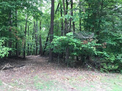 Lot 2C Wilderness Way, Moneta, VA 24121 - photo 2