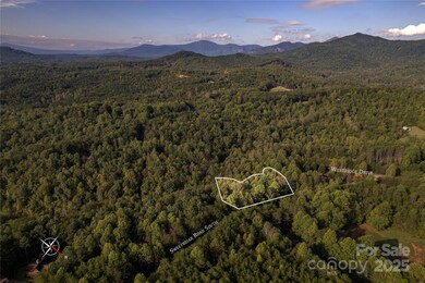 000 Silent Forest Way, Lake Lure, NC 28746 - photo 2