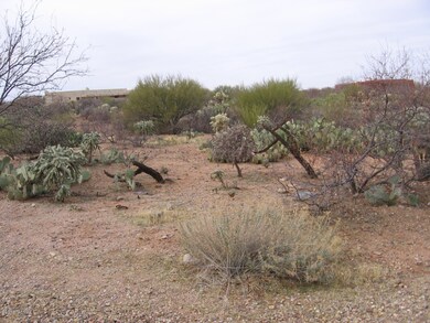 Coyote 2