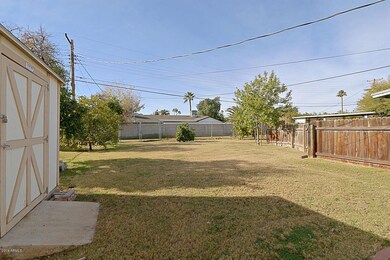 Backyard 1