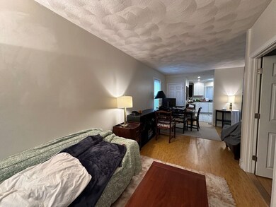 153 Spring St unit 2, Cambridge, MA 02141 - photo 6