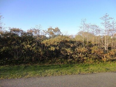 13 Pulpit Ln, Edgartown, MA 02539 - photo 2