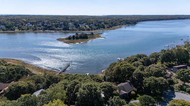 ariel showing dock and cove