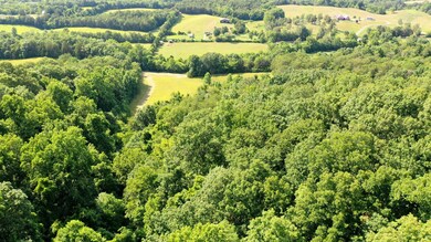 DJI_0635