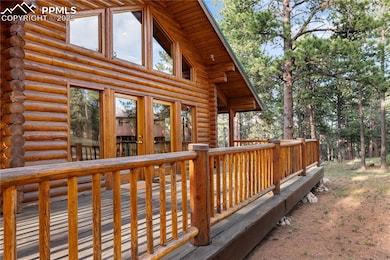 170 Druid Trail, Florissant, CO 80816 - photo 5