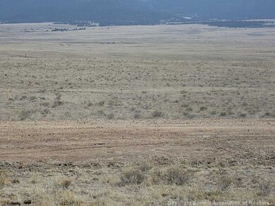 418 Andesite Way, Hartsel, CO 80449 - photo 4